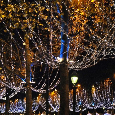 Vivez la magie de Noël à Paris